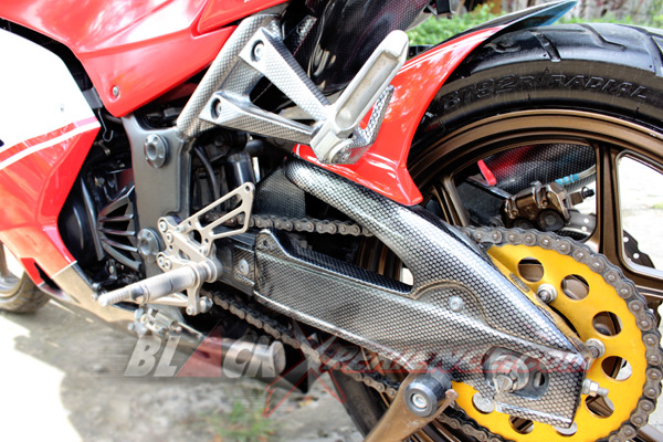 Ninja 250R Cita Rasa Ducati